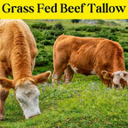 New! 100% Beef Tallow Bar Soap w/Aloe & Jojoba Oil – Handmade, Natural, Moisturizing – Gentle Soap for Dry, Sensitive Skin – Men's Body Wash, Face Cleanser – Unisex – Grass Fed - (3 Pack)-Unscented