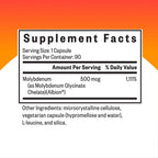 Seeking Health Molybdenum 500, Molybdenum Glycinate Chelate Supplement to Support Healthy Detoxification, Supports Metabolism and Iron Utilization, Vegetarian (90 Capsules) (Pack of 2)