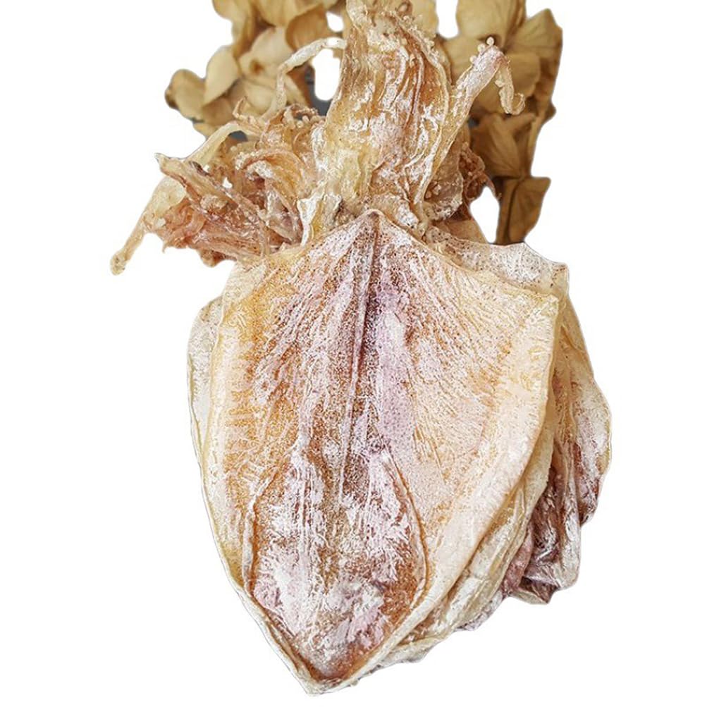Dried Squid Dried Cuttlefish (250g(8.82oz))