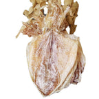 Dried Squid Dried Cuttlefish (250g(8.82oz))
