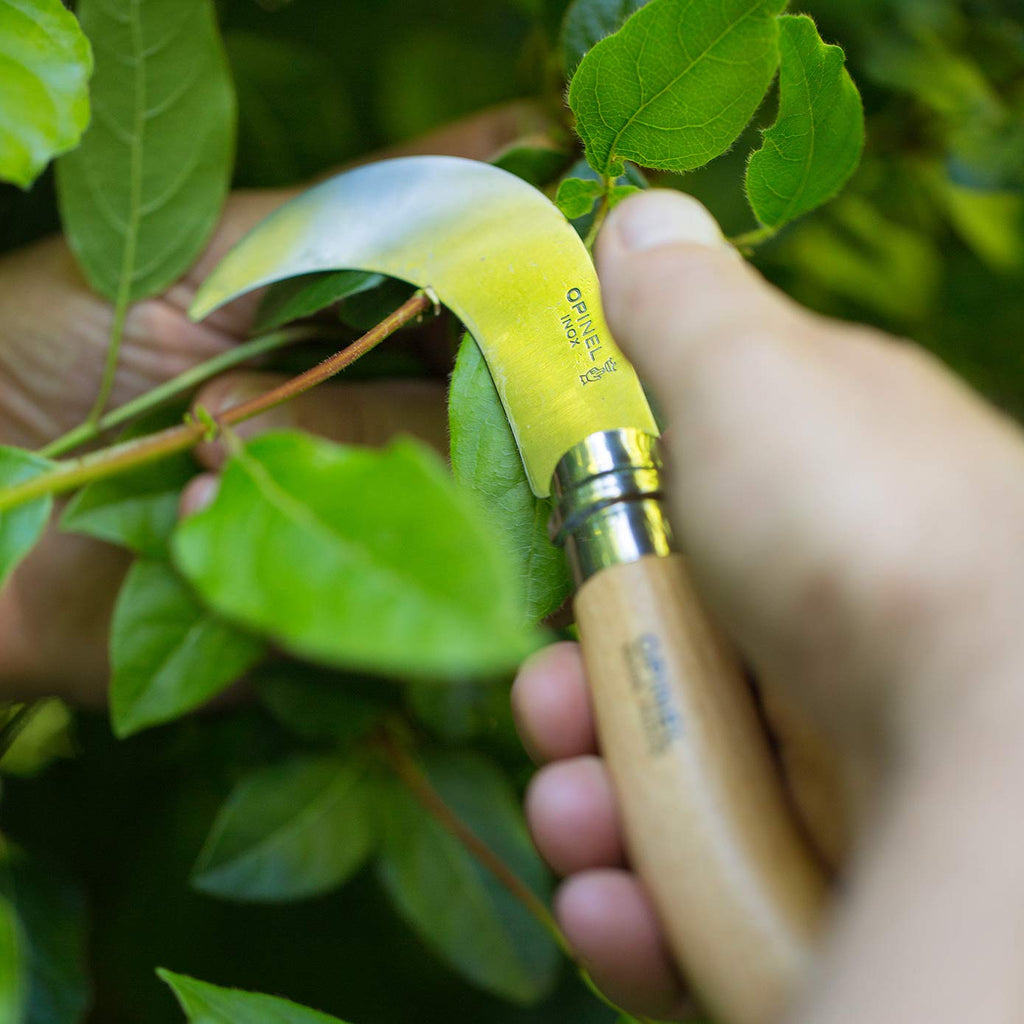 Opinel No. 10 Pruning Folding Knife - Stainless Steel for Pruning, Grafting, Orchards, Vineyards, and Gardening
