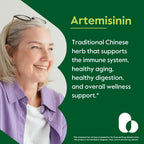 BESTVITE Artemisinin 100mg (240 Vegetarian Capsules) (2-Pack) - No Stearates - No Flow Agents - Vegan - Gluten Free - Non GMO