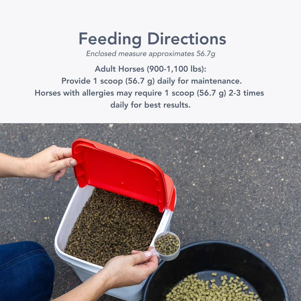 MVP Air-Way EQ Supports Healthy Lung Function and Seasonal Allergy Support in Horses, 5lb - 40 Servings