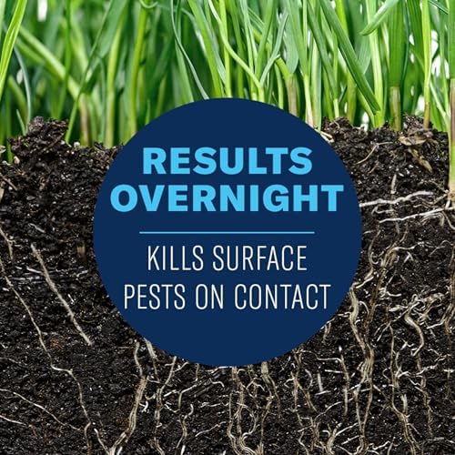 BioAdvanced, Granules, 700745S 24 Hour Grub Killer Plus, 20-Pound, 10,000 sqft Standard Bag