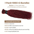 99J Human Braiding Hair 30 Inch Deep Curly Bulk Human Hair for Braiding 2 Bundles 100G No Weft Brazilian Virgin Water Wave Bohemian Braiding Hair Extensions for Boho Knotless Braids 99J Burgundy Micro