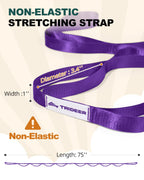 Trideer Stretching Strap Yoga Strap Physical Therapy for Home Workout, Exercise, Pilates and Gymnastics, 10 Loops Non-Elastic Stretch Bands with Aesthetic Packaging for Women & Men (Purple)