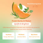 Therapy Clean All Purpose Cleaner 24 fl oz (Fresh Herbs & Melon) (6-Pack) - Multi Surface Cleaning Spray, Kitchen Cleaner, Household Multipurpose, Dusting Spray