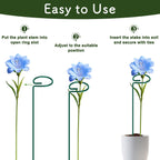 FEED GARDEN 36 Inch 12 Pack Plant Support Stakes, Metal Garden Flower Stakes and Supports for Outdoor Plants, Plant Stem Support with 24 Twist Ties for Amaryllis Lily Rose Peony Tomatoes Gladiolus