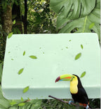 Florida Cleansing Water Bar Handmade Soap to Cleanse Your Body This Soap has a Floral Refreshing Scent.