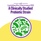 Culturelle 3-in-1 Complete Probiotic Daily Formula, Once Per Day Probiotic Supplement, Helps Your Digestive System Work Better, Supports Natural Immune Defenses, Plus Omega 3's, Non-GMO, 30 Count