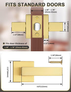Tinewa 5 Pack Gold Keyless Square Levers Handles, Satin Brass Finish, Interior Passage Door Locksets for Hall Closet Door Knobs Lock Reversible Right & Left Handed
