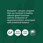 Standard Process Drenamin - Adrenal Function Supplement for Healthy Stress Response - Supports Healthy Energy Production & Metabolism - Gluten-Free, Non-Dairy & Non-Soy - 90 Tablets (90 Servings)