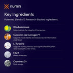 Numin Brain Supplements for Memory and Focus, Nootropic Focus Supplement, Clinical Trial-Backed Decision Fatigue Sachets with Rhodiola Rosea, L-Tyrosine, Curcumin, MSM & Chromium Picolinate, 20 Count