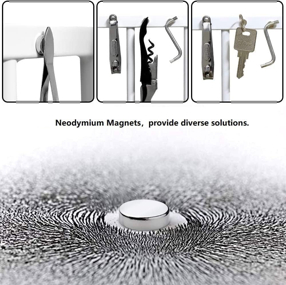 rhinocats Small Strong Magnets, 269Pcs Mini Round Refrigerator Magnets for 3D Printings, Office, Hobbies, Crafts and Science