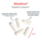 Allergy Research Group ARG Mastica Digestive Support - Supports Digestive Comfort - Delivers 1000 mg Chios Mastic Gum Resin per Serving - Vegetarian & Hypoallergenic - 60 Servings - 120 Capsules