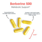 ARG Berberine 500 - 500 mg Berberine HCl - Metabolic & Blood Glucose Support - AMPK Activation Formula - Non-GMO Botanical Extract - 90 Servings - 90 Capsules