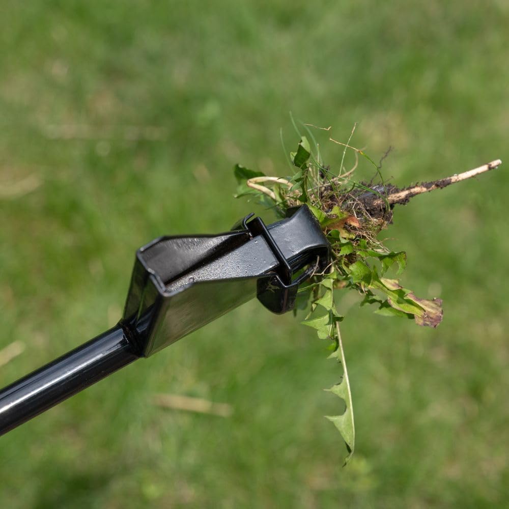 Walden Backyards Weed Hound Stand Up Weed Puller 36" - Upright Dandelion Root Remover Tool with Foot Pedal - Heavy Duty Steel Weeder for Lawns & Gardens - No Bending for Thistle, Crabgrass, Clover