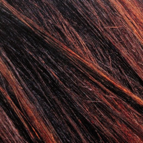 L'Oreal Paris Couleur Experte Color + Highlights in a Flash, Darkest Mahogany Brown - Chocolate Mousse, 1 kit