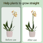 20Pcs Plant Stakes, 23.6IN Orchid Support Stakes for Indoor Plants