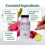 Semaine Urinary Tract Cleanse & Protect - 60 ct, Bladder Support Supplement for Women, Flushes Urinary Tract. Combines Cranberry Proanthocyanidins with Hibiscus