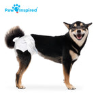 Paw Inspired 32ct Disposable Dog Diapers | Female Dog Diapers Ultra Protection | Diapers for Dogs in Heat, Excitable Urination, or Incontinence (Medium)