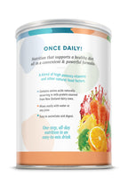 LifeTime Multiple Vitamin & Mineral Powder - Daily Multivitamin, Powdered Vitamins, Drink Mix for Women & Men, All in One Protein Smoothie Powder, 8g Protein - Original Formula, 2.2 lbs (66 Servings)