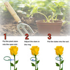 10 Pieces 24 inch Green Single Stem Plant Stakes Flower Support Rings,Gardening Planter Cages for Single Stem Flowers, Amaryllis, Peony, Lily,Narcissus