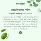 Method Daily Shower Cleaner Refill, Eucalyptus Mint, For Showers, Tile, Fixtures, Glass and Tubs, 68 Fl Oz (Pack of 2)