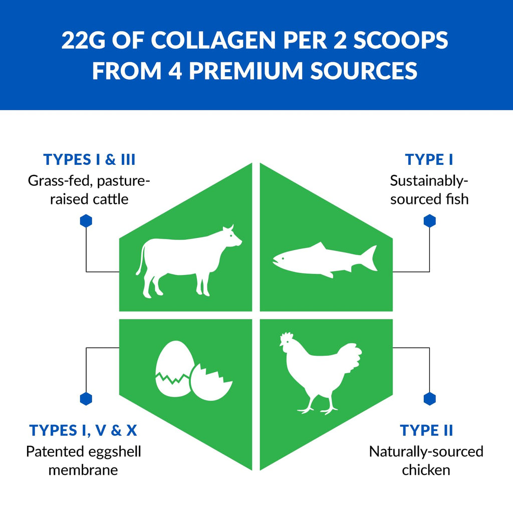 BioTrust Ageless Multi Collagen Peptides Powder – 5 Types (I, II, III, V, X) – Vanilla Collagen Powder for Women & Men – Hydrolyzed Protein – Grass Fed Beef, Fish, Chicken, Eggshell Membrane