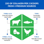 BioTrust Ageless Multi Collagen Peptides Powder – 5 Types (I, II, III, V, X) – Vanilla Collagen Powder for Women & Men – Hydrolyzed Protein – Grass Fed Beef, Fish, Chicken, Eggshell Membrane