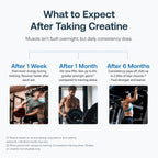 Transparent Labs Creatine HMB - Creatine Monohydrate Powder with HMB for Muscle Growth, Increased Strength, Enhanced Energy Output, and Improved Athletic Performance - 30 Servings, Hawaiian Splash