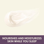 Aveeno Absolutely Ageless Restorative Night Cream Face & Neck Moisturizer with Antioxidant-Rich Blackberry Complex, Vitamin C & E, Hypoallergenic, Non-Greasy & Non-Comedogenic, 1.7 fl. oz