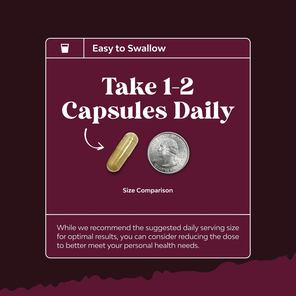 Advanced Kidney Support Supplement - Kidney Cleanse Detox & Repair Cranberry Extract Capsules with Uva Ursi, Stinging Nettle & Astragalus for Kidney health - Urinary Tract Health - 60 Caps