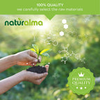 Naturalma Oats (Avena Sativa) Tops Alcohol-Free Tincture - 4 fl oz Liquid Extract in Drops - Herbal Supplement - Vegan