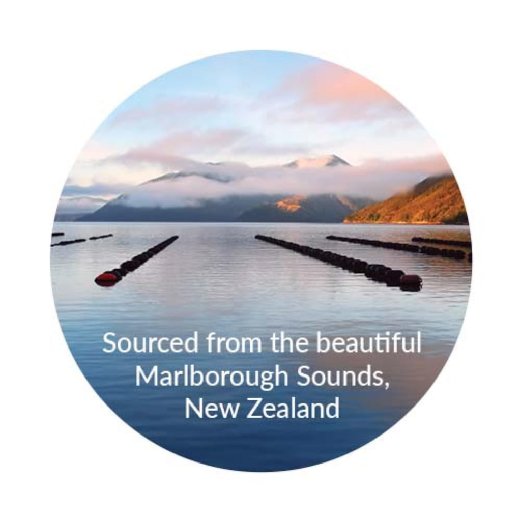 Green Lipped Mussel - 90 Capsules - The Miracle From New Zealand for Arthritis Care and Joint Health