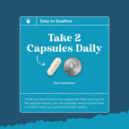 Nootropic Brain Supplement for Memory and Focus Support - Vitamins for Mental Support & Clarity with Bacopa Monnieri, VIT A, B6, Riboflavin, Niacin, Thiamin & Folate - Cognitive Complex - 120 Ct