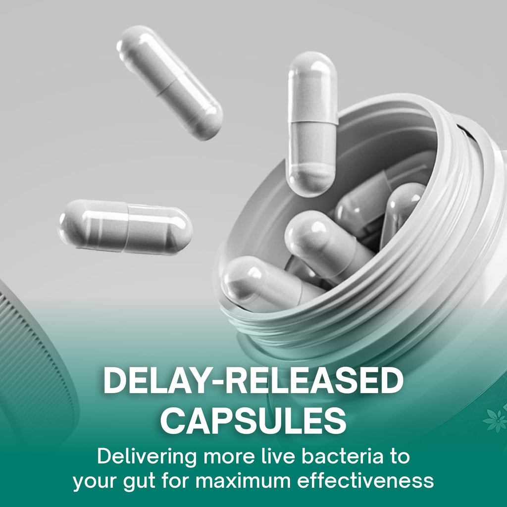 With Christensenella & Akkermansia, 8 Probiotic Strains - 50 Billion CFU