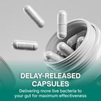 With Christensenella & Akkermansia, 8 Probiotic Strains - 50 Billion CFU