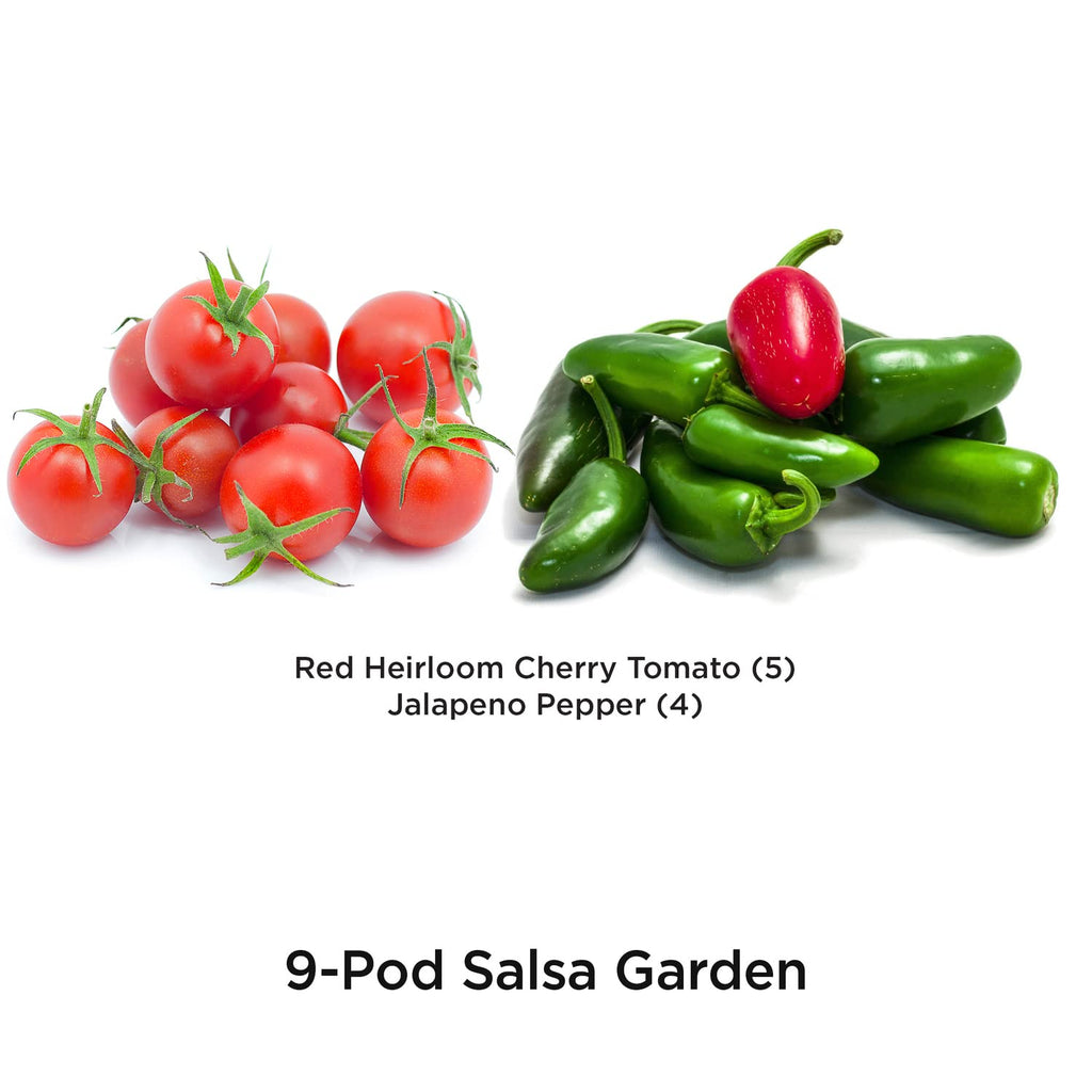 AeroGarden Salsa Garden Seed Pod Kit, 9-Pod