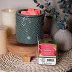 Mainstays Scented Wax Cubes 1.25oz 4-Pack (Juicy Watermelon)
