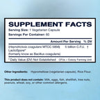 AFI LactoSpore® ES Spore Probiotic | 5B CFU Heyndrickxia Coagulans | Probiotic for Women/Men | Supports Digestive, Immune & Vaginal Health | Made in USA - 60 Capsules