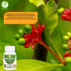 Morsan Healthcare Sarpgandha (Rauwolfia Serpentina) Capsules – Pack of 2 x 60 Veg Capsules | 500 mg Herbal Extract | Natural Ayurvedic Supplement for Daily Wellness