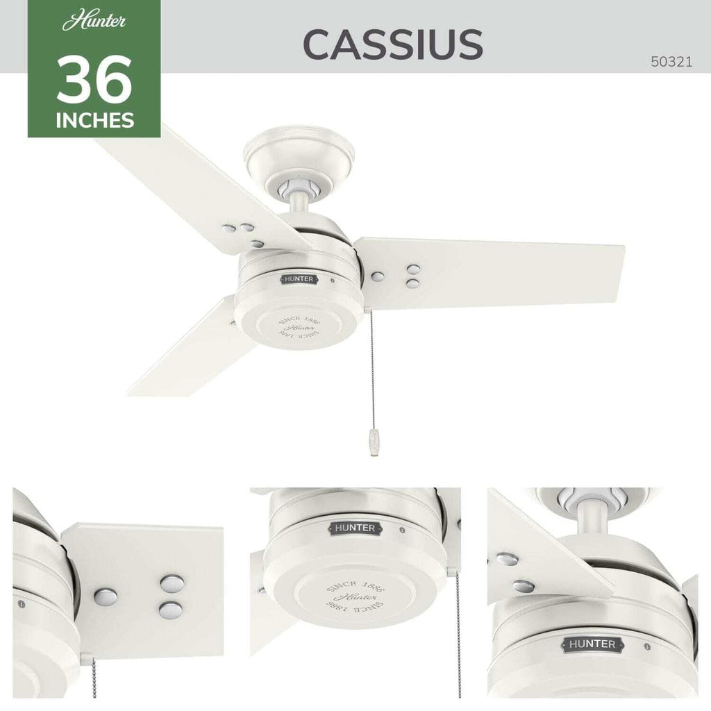 Hunter 36 inch Outdoor or Indoor Ceiling Fan No Light - Bronze Ceiling Fan without Light, For Patio, Porch, Garage, or Living Room, Standard Mount, 3 Blades, Pull Chain - Cassius 50318, Noble Bronze