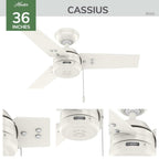 Hunter 36 inch Outdoor or Indoor Ceiling Fan No Light - Bronze Ceiling Fan without Light, For Patio, Porch, Garage, or Living Room, Standard Mount, 3 Blades, Pull Chain - Cassius 50318, Noble Bronze