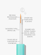 SWEED - Eyelash Growth Serum | Lengthens with Peptides, Biotin, Pumpkin Seed Oil + Keratin | Prostaglandin-Free | Vegan, Cruelty-Free, Clean Beauty (0.17 fl oz | 5 ml)