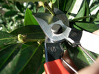 Okatsune 103 Bypass Pruners General Purpose Medium (One Pack)