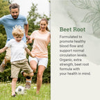 Earth Harmony Naturals Organic Beet Root Capsules 1200 mg - Beet Root Powder & Juice Blend Supplement for Men and Women - 120 Capsules