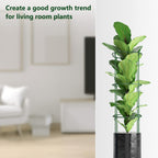 36 Packs Plant Support Stake, Half Round Stackable 3 Tier Garden Flower Support, Plant Stakes for Indoor Outdoor Plants Tomato,Monstera, Peony, Hydrangea, Climbing Plants