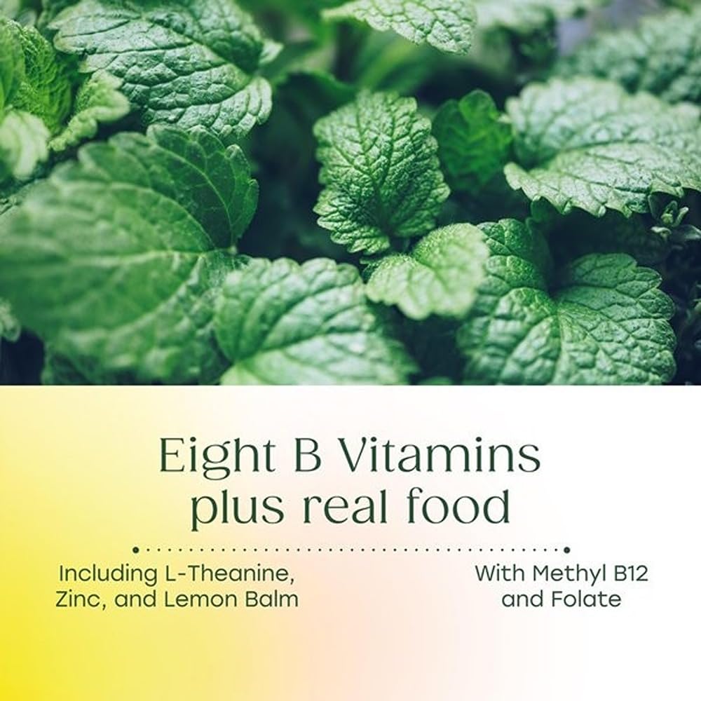 MegaFood Kids Vitamin B Complex – with Vitamin B12 & B6, Folate, Biotin, Zinc, Lemon Balm, L Theanine & More, Supports Cellular Energy Metabolism, Vegetarian, Gluten Free – 90 Mini Tablets