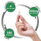Genex Formulas Ursolic Acid 300mg (180 Capsules) Ursolic Acid Sourced from Rosemary Extract - Non-GMO, Gluten Free, Vegetarian